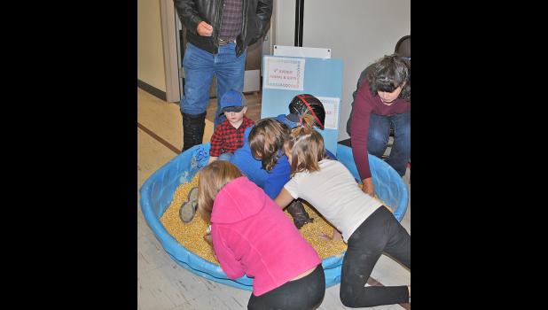 Digging for coin!