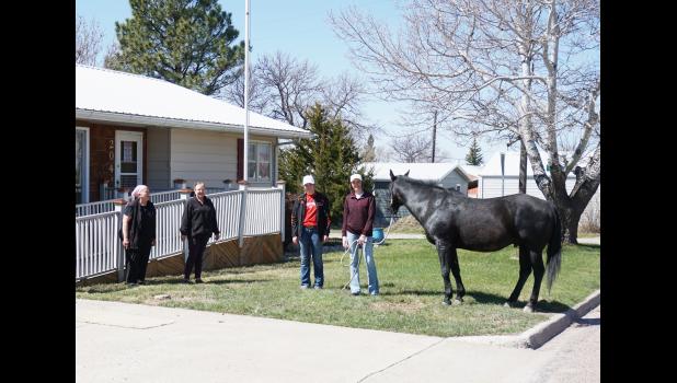 Julie Fischbach, Virginia Gerbracht, Kailyn Groves, Mikenzy Miller, and horse Blacky. Courtesy photo