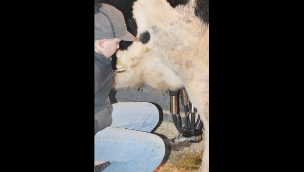 Once the milking ports are in place, Cash has to keep an eye on the operation to ascertain that everything is running properly.