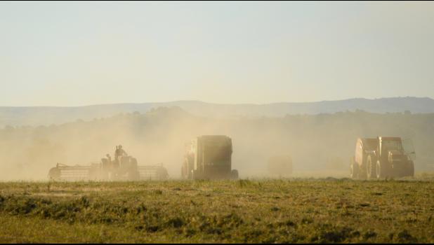 Despite the high winds and dust, two balers and two rakes soon had the downed hay in this field first in neat windrows, then baled.
