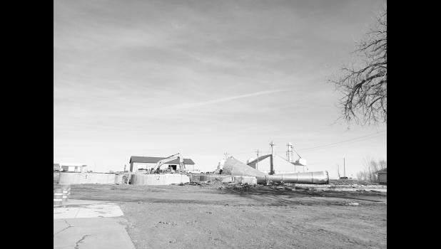 By day 4, none were left standing and all were sorted into piles to break down and clear away. Photo by Jo Buchannan