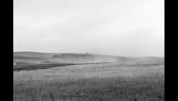 Photo by Mishayla Buchannan