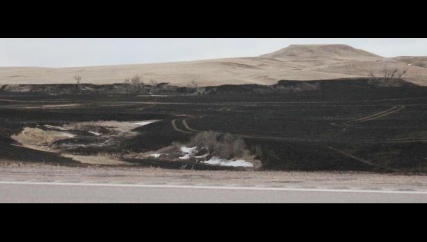 The Wolf Fire destroyed over 2,500 acres around Highway 14 near Quinn. The tremendous wind, though cold, carried the flames so fast that some spots were jumped, even leaving a drift of snow visible in the aftermath south of the highway.