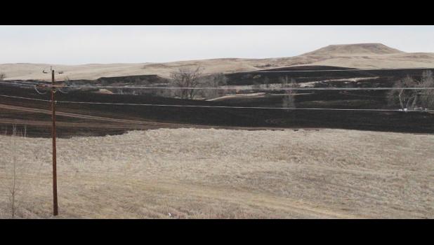 The Wolf Fire destroyed over 2,500 acres east of Wall.