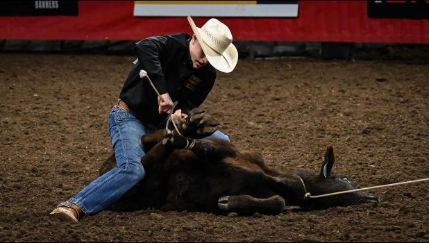 Jace Blasius of Wall, South Dakota, competes in tie-down roping at the 20x High School Rodeo Showcase at The Monument on Sunday, Feb. 2, 2025. Courtesy Darsha Dodge, Journal staff