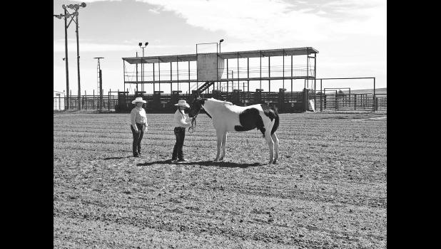 Sage Waldron with her horse, Paintball, in the Showmanship class. Photo by Meghan Newsam