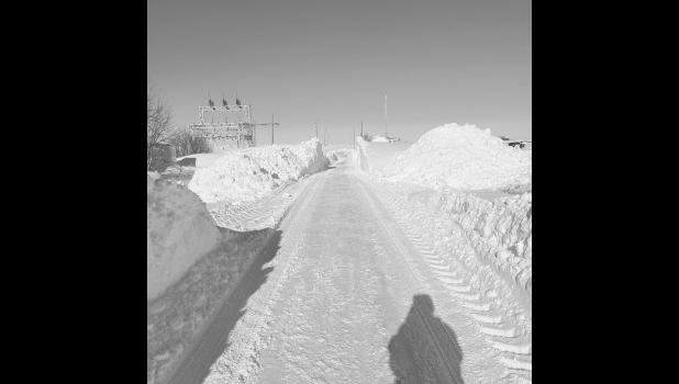 A corridor of snow east of Robin Cromwell’s. Photo by Robin Cromwell