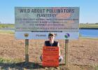 Jacob Birkeland, local high school student and member of the Pheasants Forever National Youth Leadership Council hosted a community youth habitat project teaching on the importance of pollinators and their rolls in everyday life. Fifty-one students participated in classroom sessions, learned about bees and butterflies, planted plugs and planted a half acre plot with over 40 species of grass and wildflowers at the Murdo North Dam. Thank you for your community contribution, Jacob!