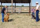 Sage Bierle, Midland, left, and Tara Schofield, Philip, right, are judged by Wyatt Johnson during the dog show at the Haakon/Jackson County 4-H Achievement Days