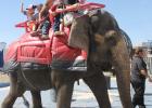 audience members rode an elephant. Later, during their own act, the circus’ two elephants performed tricks and stunts.