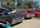 Beautiful ... shiny, sparkling autos galore. Photo courtesy Chizum Johnson