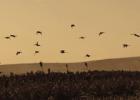 Celebrate South Dakota’s first annual 605 Day on Sunday, June 5. Photo by Kyle Metzger