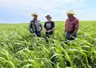 Photo by Nina Pekron of NRCS SD.