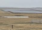 The Wild Springs Solar farm south of New Underwood, S.D., became the state's largest solar power facility when it began production in March 2024. Courtesy Bart Pfankuch / South Dakota News Watch