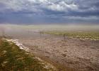 Several area residents reported over two inches of rain collected in Murdo.